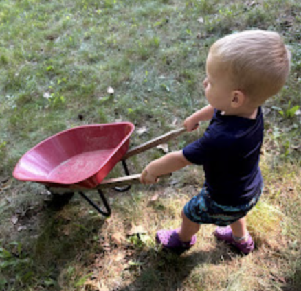 Nature school activity